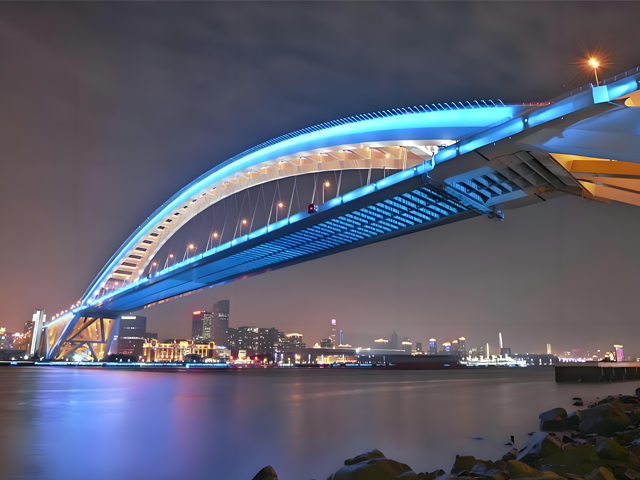 上海卢浦大桥亮化